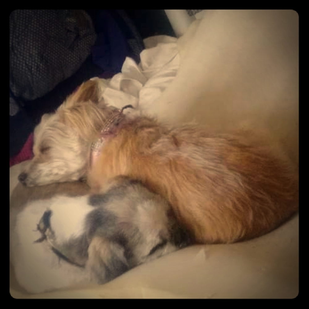 My Babies